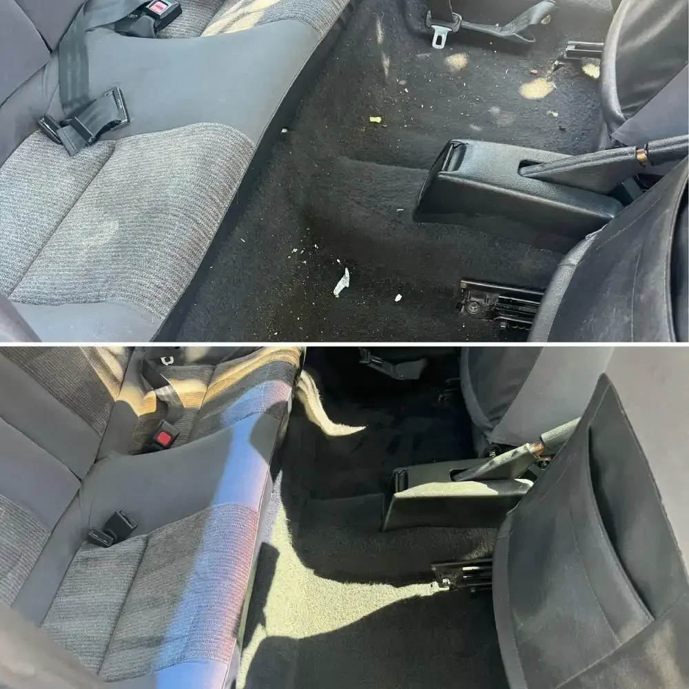 Pet hair and odor removal during interior car detailing for San Fernando Valley pet owners