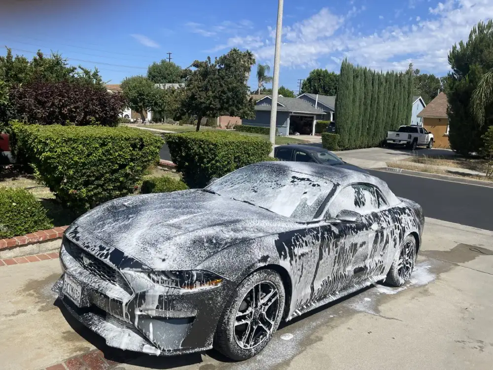 Armando King Mobile Detailing fixes a paint covered car with paint correction auto detailing at home.